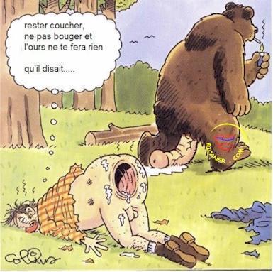 Juste une histoire d'ours...
